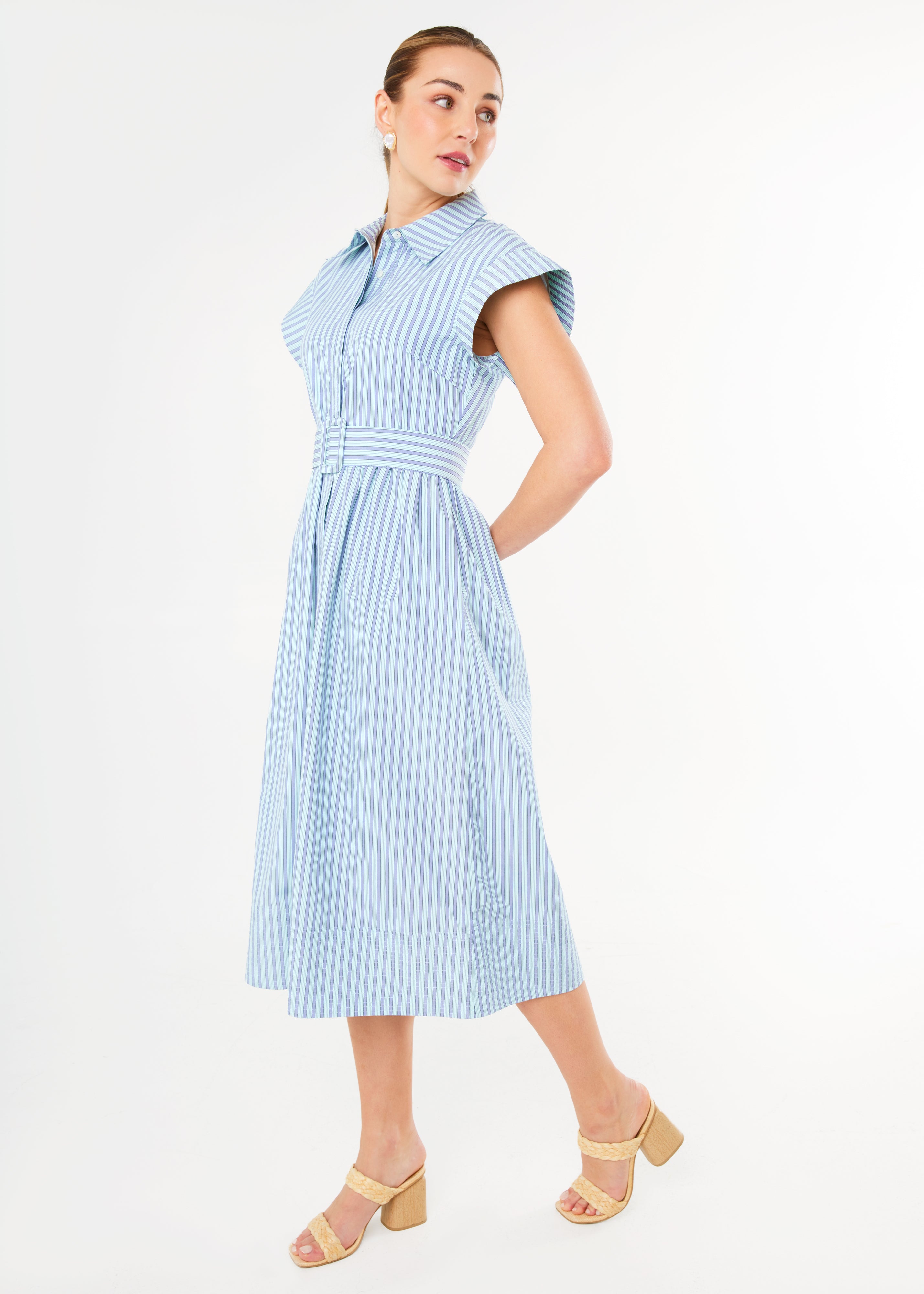 Harper Dress Periwinkle Stripe Cotton