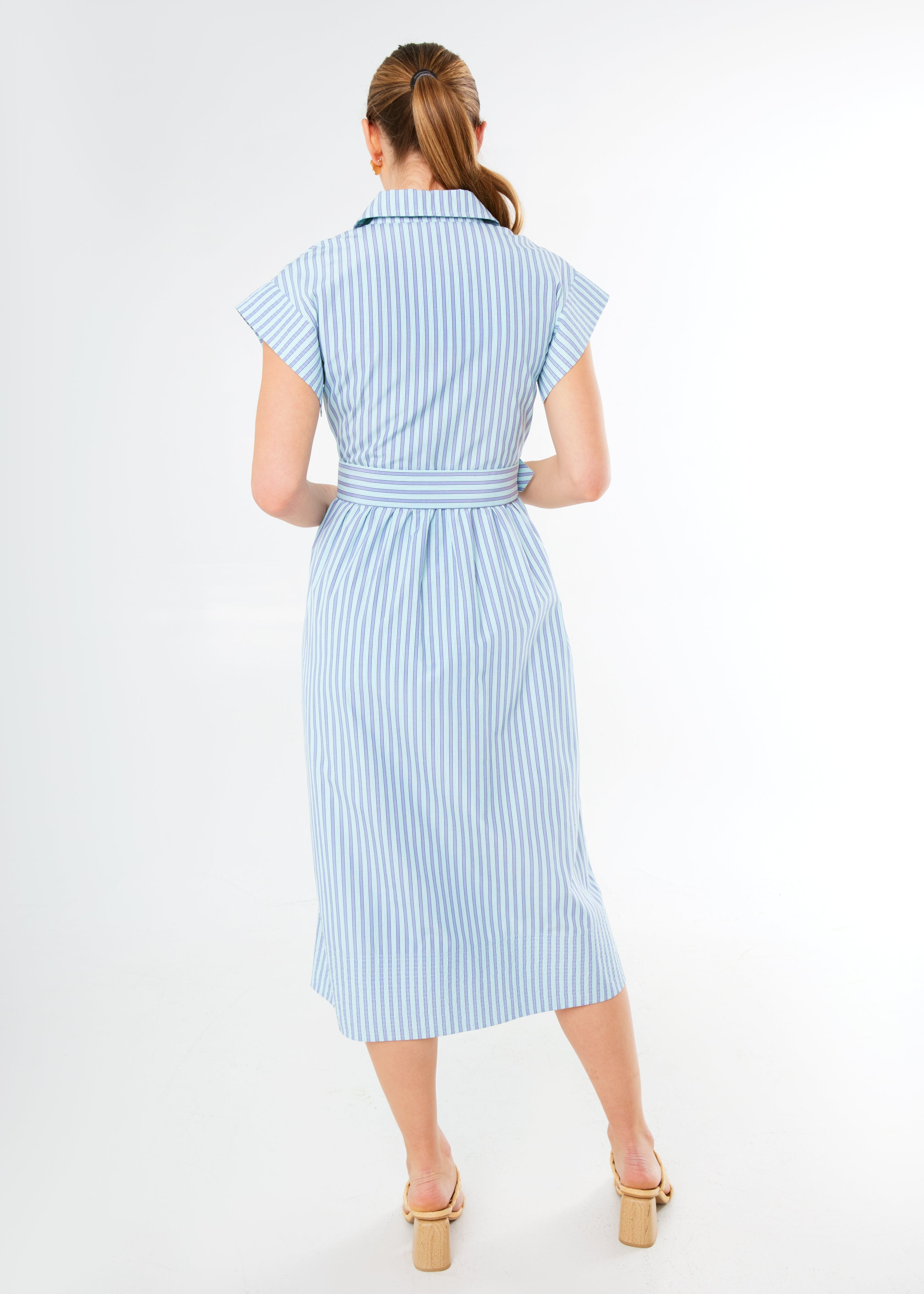 Harper Dress Periwinkle Stripe Cotton