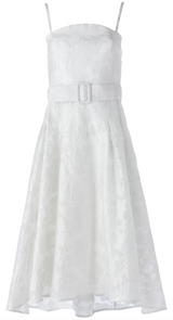 Annabelle Dress White Silver Organza