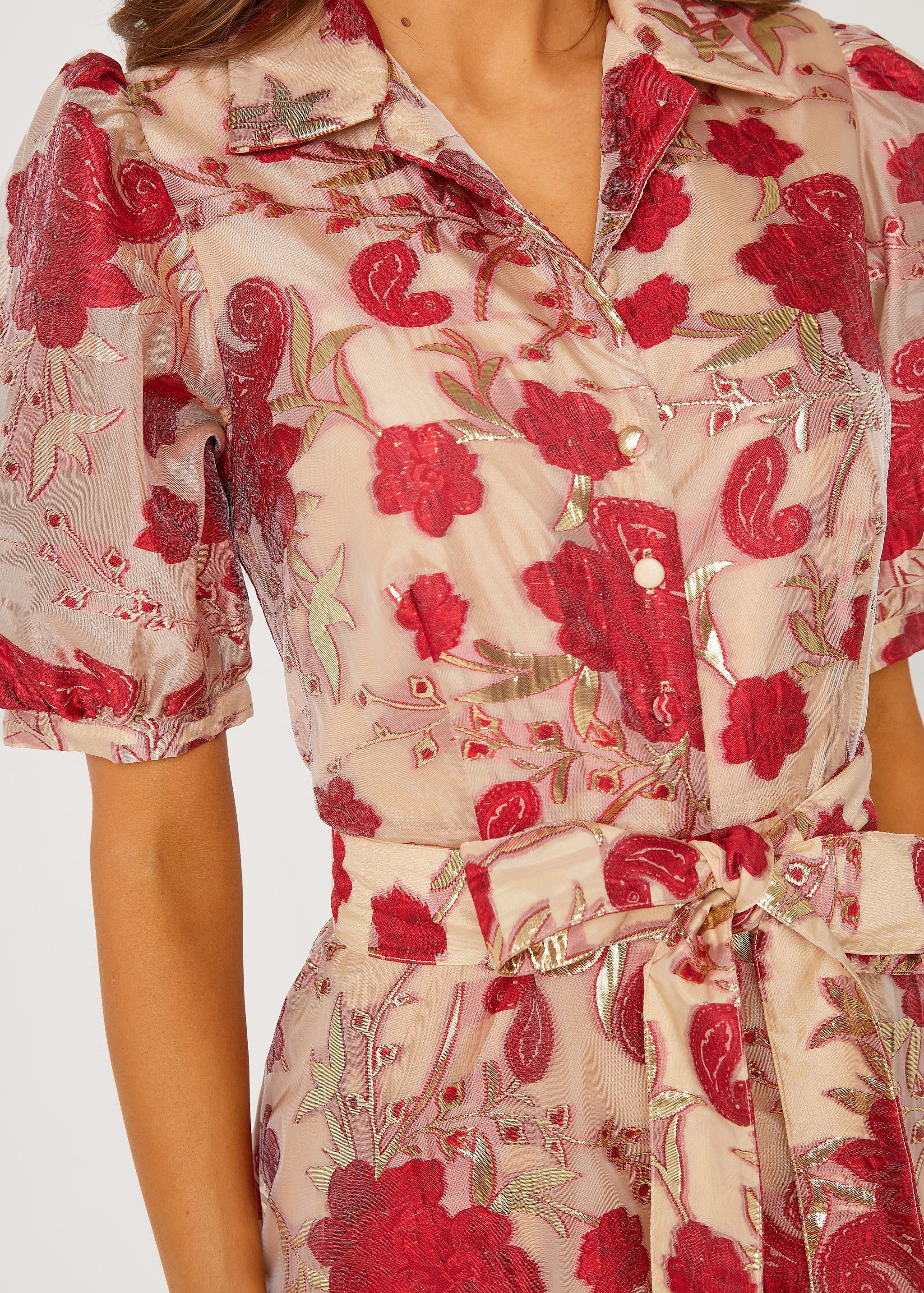 Charlotte Gown Red Moonlight Organza