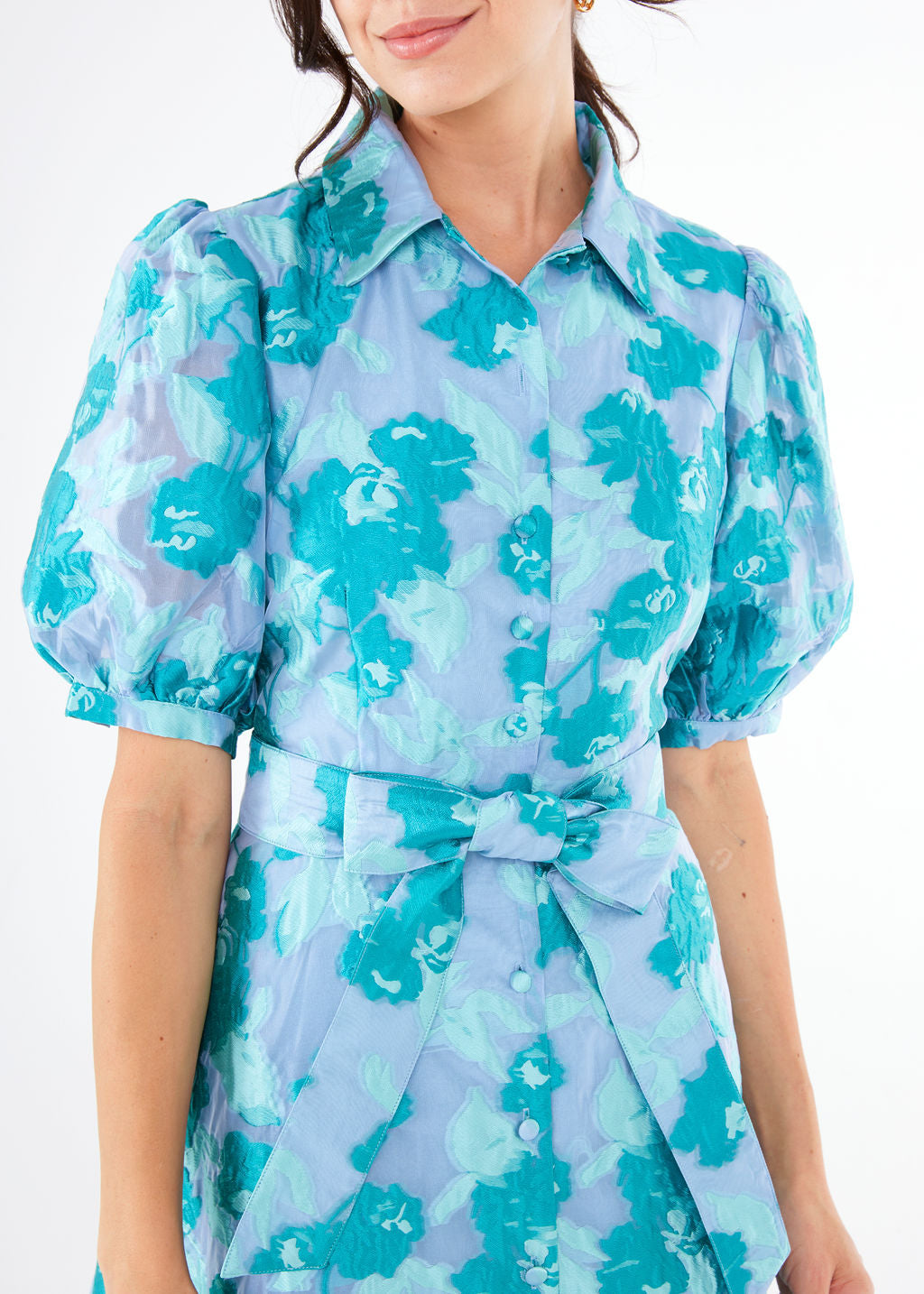 Charlotte Gown Mint Rose Vine Organza